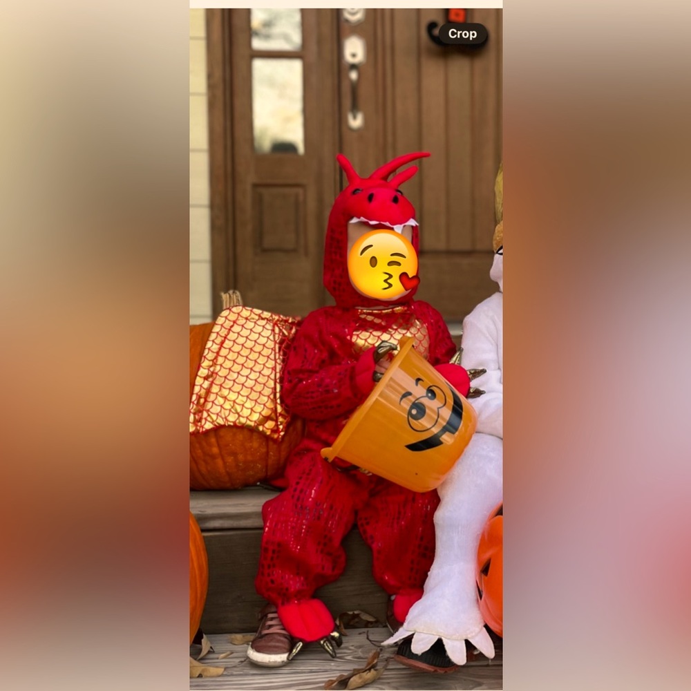 Pottery Barn red dragon costume